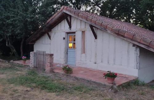 Campagne House | Maisonnette vue sur forêt