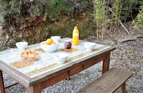 Rayol-Canadel-sur-Mer House | Mazet Méditerranéen avec Terrasse et Jardin - Rayol-Canadel - FR-1-226B-134