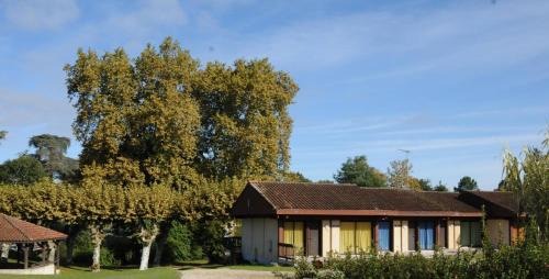 Morcenx House | Mimosas