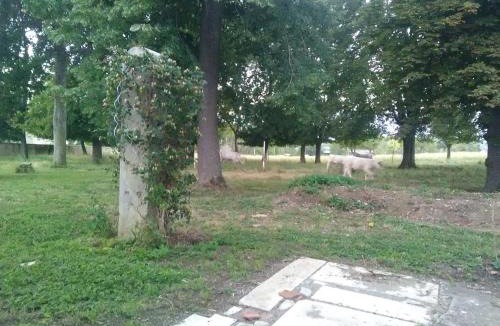 Genouillac House | Mlle Labeaume