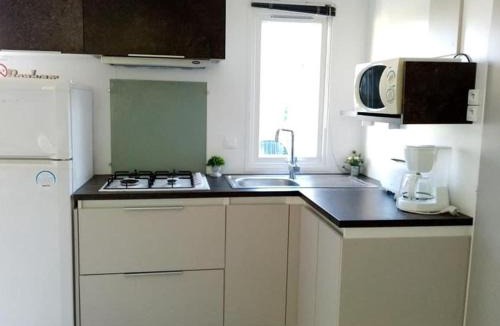 Treguennec Other | Mobil home confortable - 6 personnes - Tréguennec - API-1-52-1047