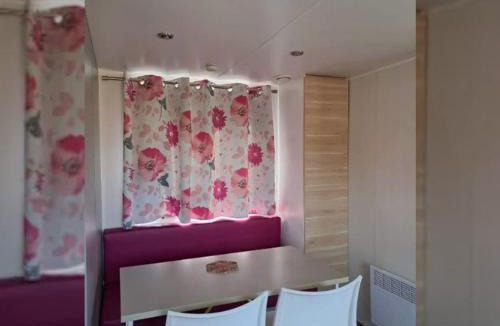 Treguennec Other | Mobile-home avec terrasse à Tréguennec, parfait pour 4 personnes - API-1-52-928