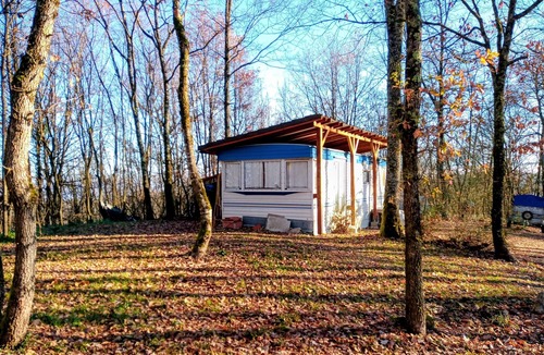 Couret House | Mobile home.on a unique wooded site at 485 m altitude. with various birds.
