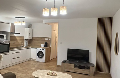 Romans-sur-Isere Apartment | Modern cocoon · Quays of the Isère · 2 bedrooms