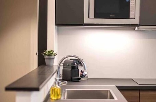 Beausoleil Apartment | Monaco Modern 2 Beds Apartment Near Casino
