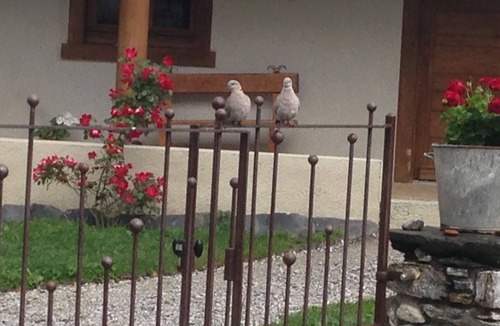 Laruns House | Mountain group accommodation