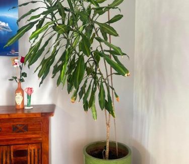Barbaira Villa | Nature Getaway - Modern house with garden