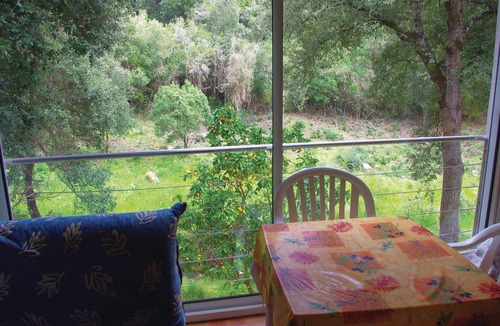 Sagone Apartment | Nice apartment in Sagone with kitchen