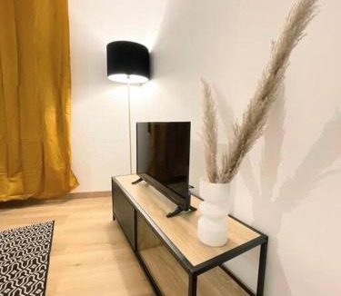 Rodez Apartment | /Nid/paisible hyper centre