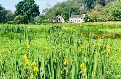 Pluvigner House | Peace and tranquility, a cool river, and a Nordic bath