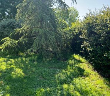 Saint Nazaire sur Charente Apartment | Petit lupin de l’estuaire