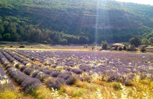 Sault House | Provence ventoux sault