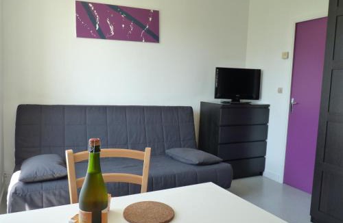 Downtown Apartment | Résidence Albert Premier