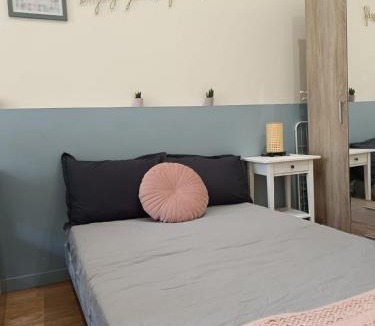 Saint-Etienne Apartment | Stella Studio cosy proche tram - Parking