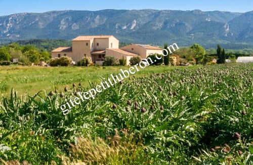 Cabrieres-d'Avignon Apartment | Studio accueillant avec piscine à Cabrières-d'Avignon 40 m²