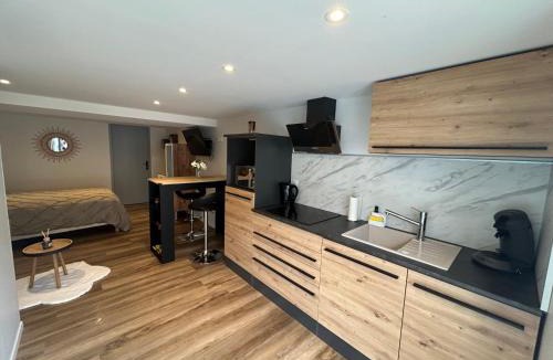 Villargondran Apartment | Studio aux pieds des stations, vélos, motos et rando