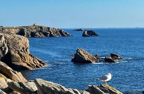 Quiberon Apartment | Studio cabine 42m² - Quiberon, proche Côte Sauvage - FR-1-478-184