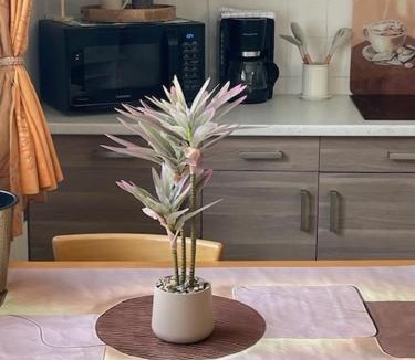 Ile Verte Apartment | Studio cosy, Ile Verte, CHU Grenoble, Faculté