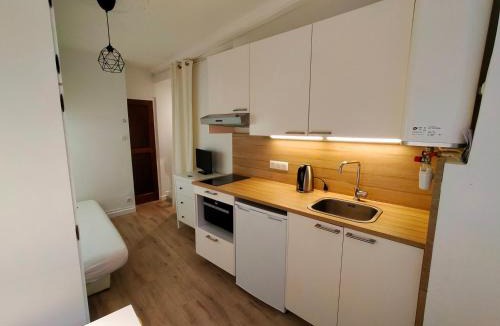 Croix Rousse Apartment | Studio Croix Rousse
