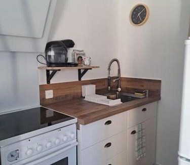 Serezin-du-Rhone Apartment | Studio dans maison avec jardin et balcon, au calme