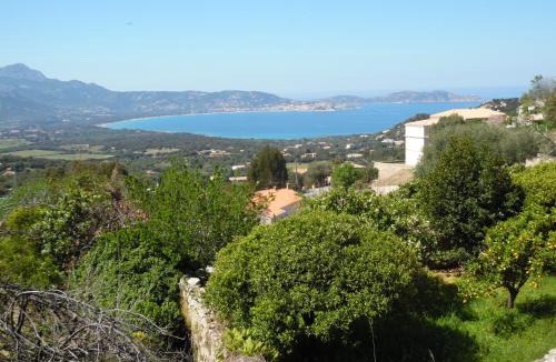 Calvi Apartment | Studio du Commandant Marché