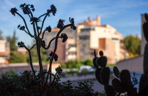 Le Pradet Apartment | Studio "Near the Beaches" with Private Loggia and Wi-Fi