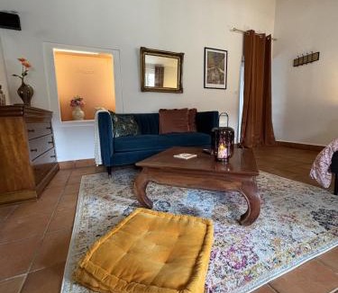 Vienne Apartment | Studio Provençal au centre-ville de Vienne