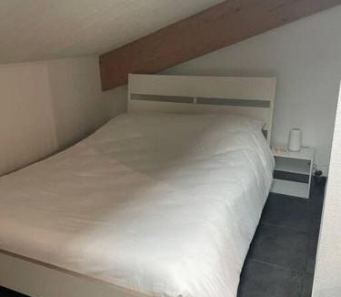 Albi Apartment | Studio8 proche Fac climatisé