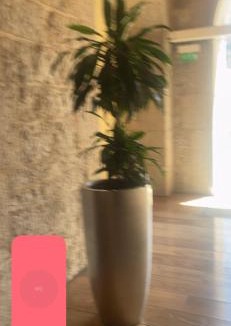 Montolivet Apartment | Superbe Appart saint Bar Marseille