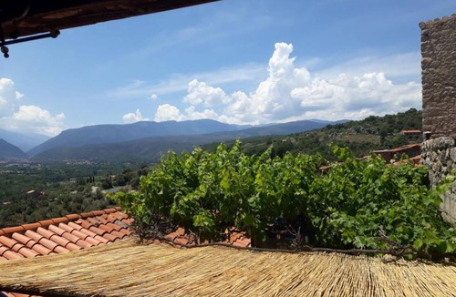 Eus House | The Eus terrace - EUS