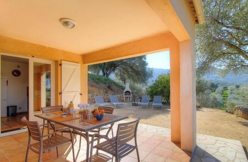 Sollacaro House | The olive grove 1 - SOLLACARO