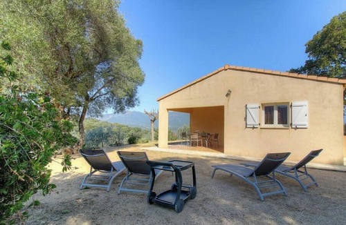 Sollacaro House | The olive grove 1 - SOLLACARO