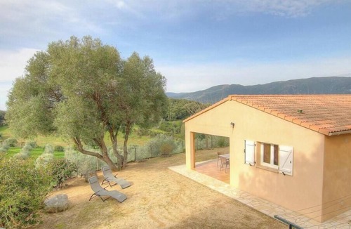 Sollacaro House | The olive grove 1 - SOLLACARO