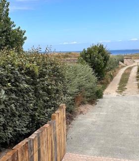 Saint-Pierre-Quiberon Apartment | Thinic appartement VUE MER et SPA