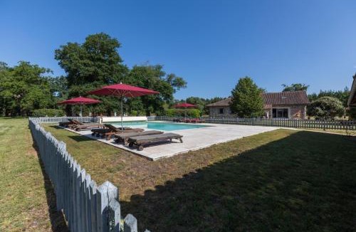 Vert House | Vieux chêne