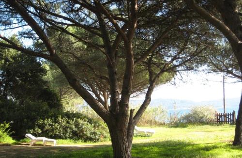 Pardigon Villa | Villa Cavalaire-sur-Mer, 3 pièces, 7 personnes - FR-1-100-201