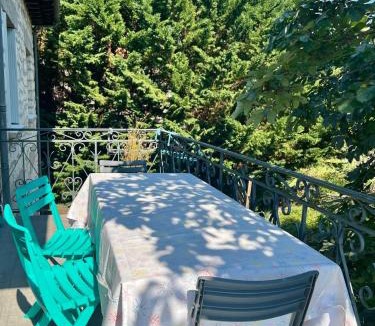 Ussac House | Villa La Baronnie - 11 pers - Proche Brive -Jardin