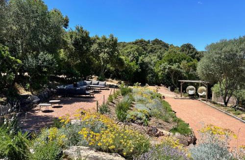 Figari Villa | Villa macchialegria