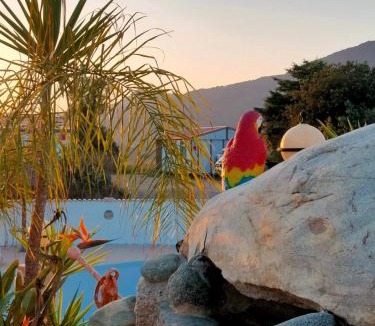 Olmeto Ski Chalet | ZEcamping 3 étoiles à 1km de la plage piscine jacuzzi animaux acceptés