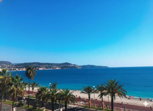 219 Promenade
