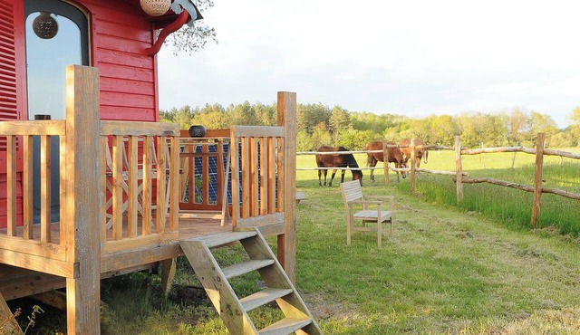 A rustic trailer in the heart of nature, complete with a sauna