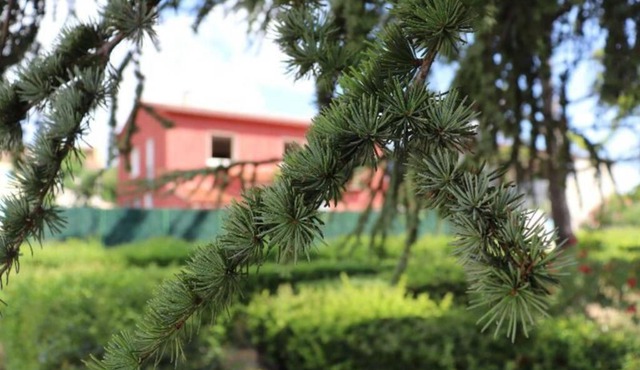 Appartement dans belle maison limouxine