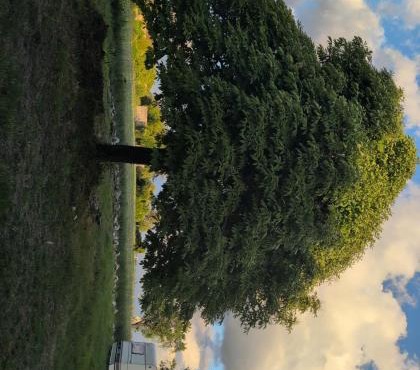Au soleil