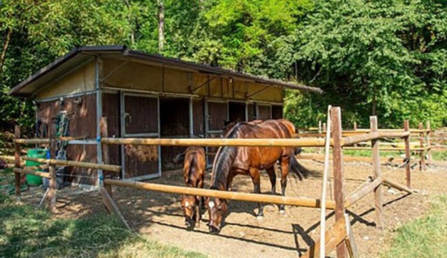 B&B in Valtrebbia in Emilia-Romagna