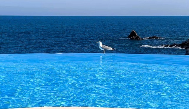 Beachfront residence with heated infinity pool