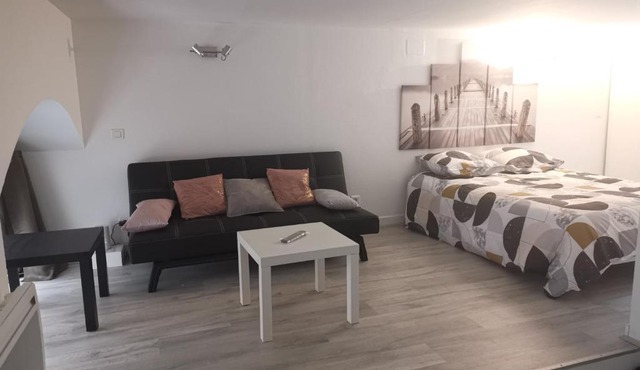 Beau STUDIO rénové lumineux , calme , wifi