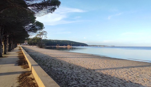 Between the Lake, the Dunes, and the Ocean. 2-room apartment with a terrace located among the pine trees