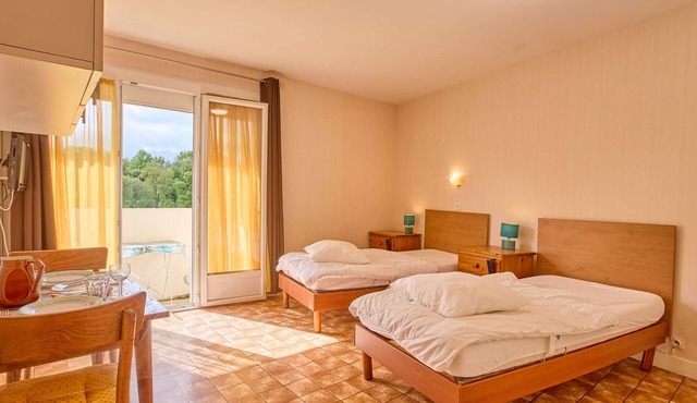 Bright studio 22 m², balcony, WIFI, pets allowed
