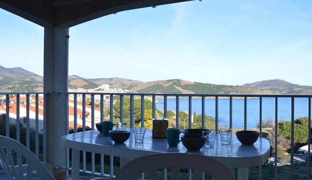 Bright studio 4p Banyuls, air con, parking