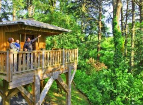 Cabane dans les arbres - 4 pers. - API-1-52-2114